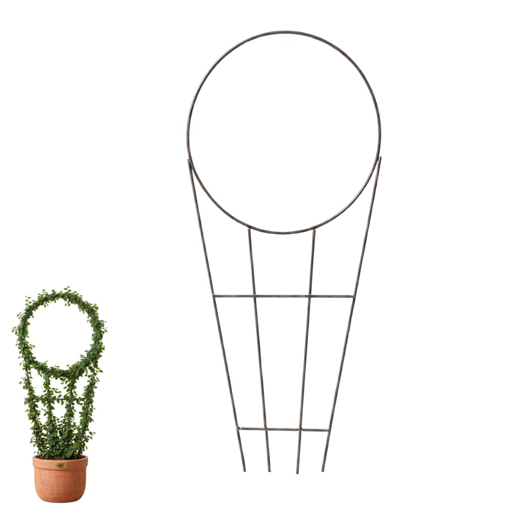 Round Plant Trellis 24 Inch Metal Climbing Plant Support, Heavy Duty Garden Trellis for Pots, Rust Resistant Support Ring for Vines, Ivy, Creepers & Flowers-image-12