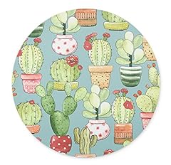 Cacti in pots on turquoise