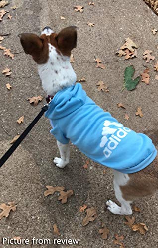 (L, Azul) - Tecido Idepet Soft Algodao Adidog para Cachorro