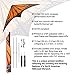 paleonEarth Mk2 Dual-line Stunt Kite with a 90 Inch Wingspan (Monarch)