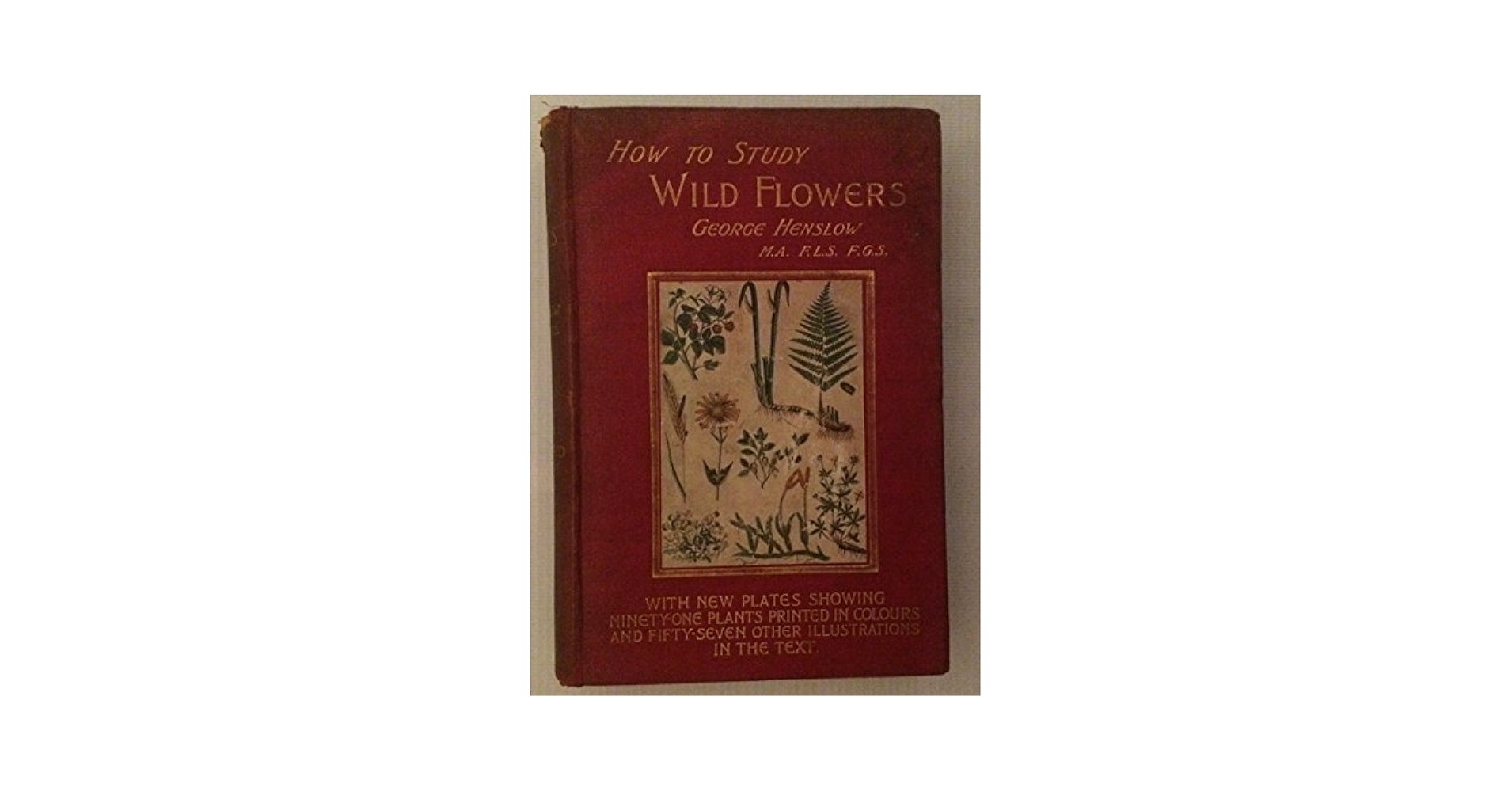 洋書 How to Study Wild Flowers Amazon.com: How to Study Wild Flowers: Henslow. George: 圖書