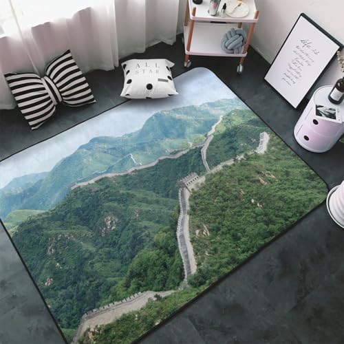�J�[�y�b�g �����̒��� ���E��Y �ό��n�� ���i �����` ���O�}�b�g ���O �O�~ �ėp �h�_�j �R�� �h�� �h�L �ӂ���Ǝ�G�� ������� �D�����t�����l�����O ���g�[�Ή� �􂦂� ����~�ߕt �l�C �v���[���g 100 × 150 cm BHT4H90
