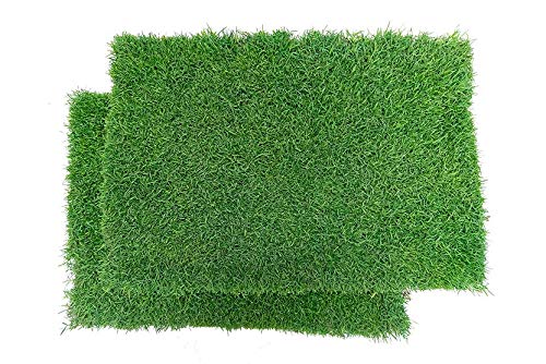 BETHEL Gotta Go Grass Double Pack Two Refill Grasses 16\" x 24\" (2 Pack, Refill - no Tray) **Cannot Ship California or Arizona**