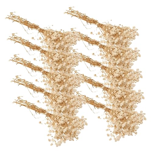 Ramo de 10 ramos de flores secas Babys Breath beige