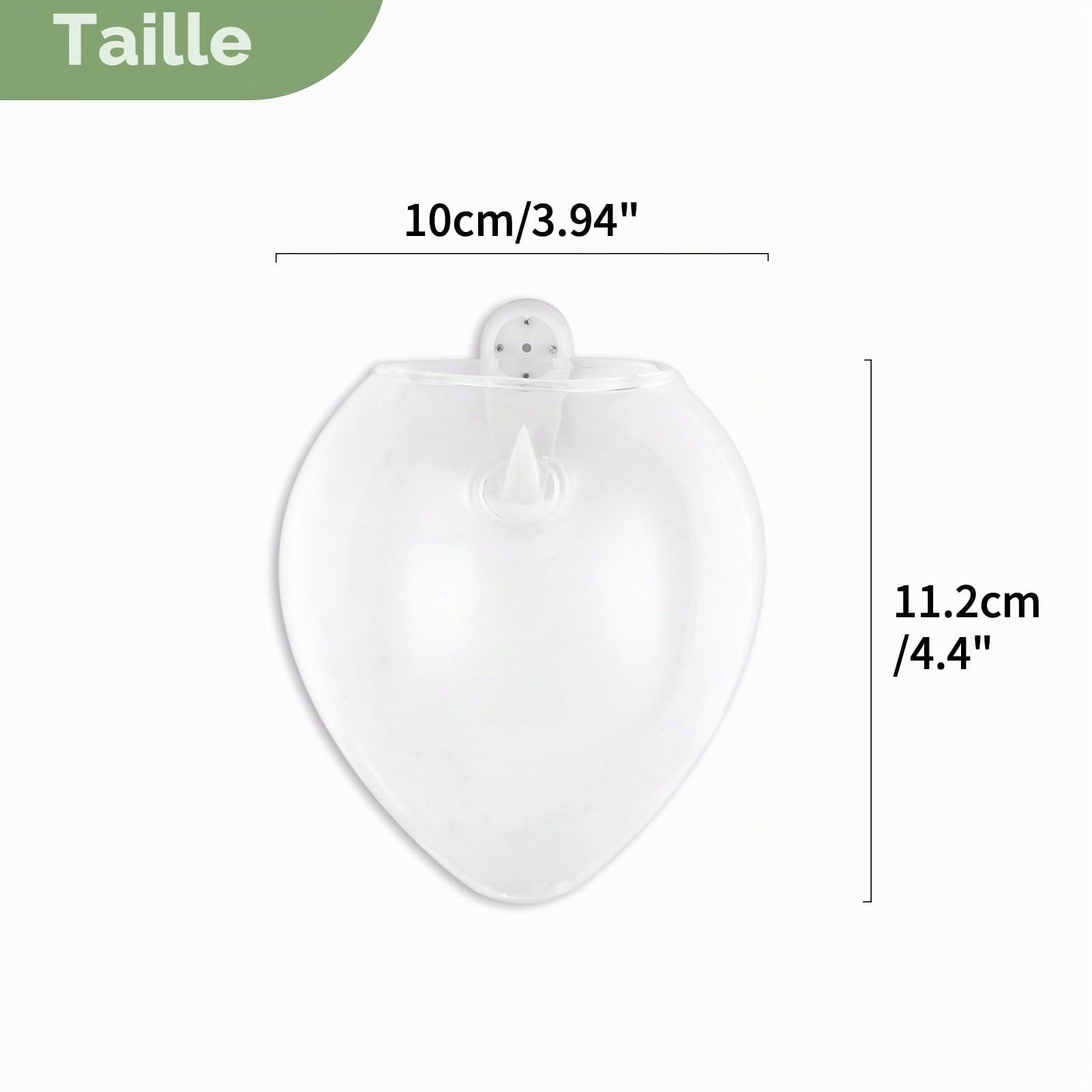 12 Pièces Murales Suspendues Planteurs de Verre Pot - Eau Plantation Vases Air Fleur Vase Plante Terrariums Conteneur de Plantes