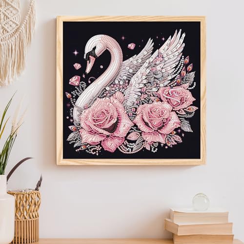 Image of AiYuanzsh Diamond Art Painting Kits for Adults Swan, 5D Special Shape Diamond Art Kits for Beginners, Crystal Rhinestones Diamond Art Painting for Home Wall Decoration Gift 12x12inch