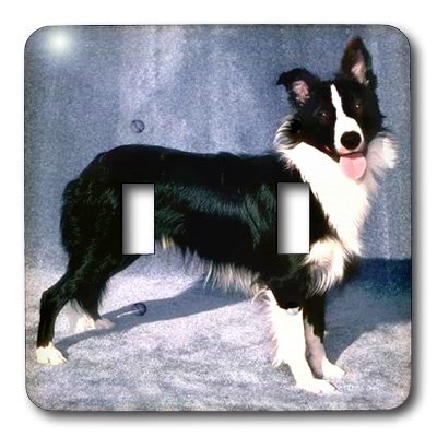 Double interrupteur à bascule 3dRose lsp_1245_2 Border Collie plaque murale décorative - 3