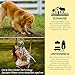 GLÜCKSPFOTE® Pfotenreiniger für Hund & Katze [200ml] | Reinigt & Pflegt natürlich - Pfotenschaum ohne Wasser | Hundepfoten Reiniger Pfotenpflege für Hunde ideal zur Pfotenreinigung für Hunde