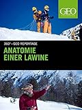  Anatomie einer Lawine