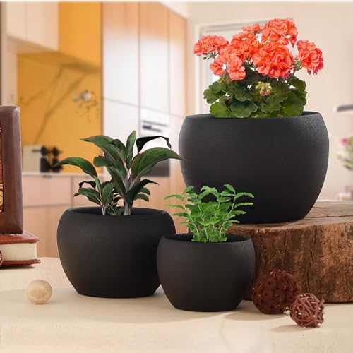 Image of Elegant Black Matte Finished Tabletop Planters Pots for Plants Flowers, Living Room Drawing Room Balcony Office Decoration Ideas for Plants Set of 3 (Plants not Included)