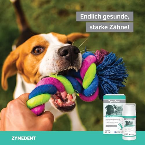 alfavet ZymeDent, Enzymatische Zahnpasta für Hund und Katze bei Plaque, Zahnstein, Maulgeruch und Zahnfleischentzündung, Tube 50ml mit Fingerzahnbürste