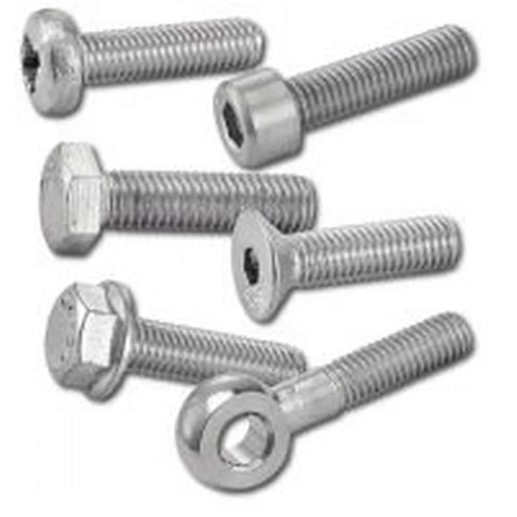 D-Work, 100 dadi per orecchie, forma americana, M10 mm, DIN 315, in acciaio inox A4