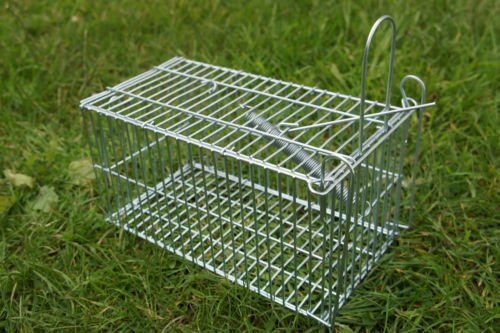 Generic dyhp-a10-code-4613-class-1