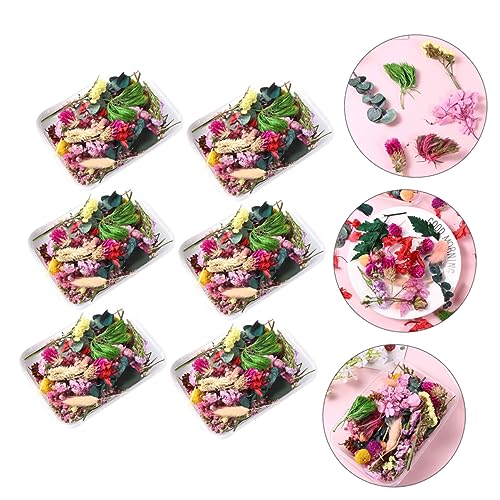 Flores Secas Prensadas para Manualidades y Decoración miniatura 5