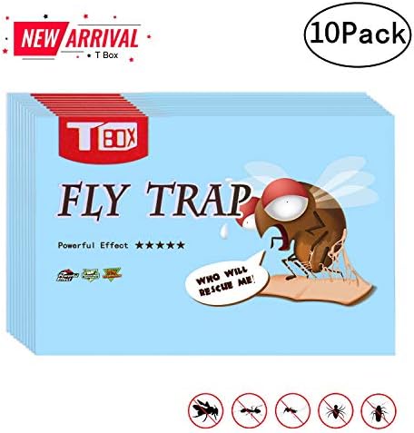 Fruit Fly Trap,Fly Trap, Fly Paper, Effective and Portable Fly Traps for Outdoor and Indoor Use-10 Pack