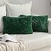 MIULEE Funda de Cojines de Sofá Cojín de Pelusa Funda de Almohada Suave y Comodo Mullido Decoracion para Cama Habitacion Silla Sala de Estar Dormitorio Oficina Salon 2 Piezas 30x50 cm Verde Oscuro