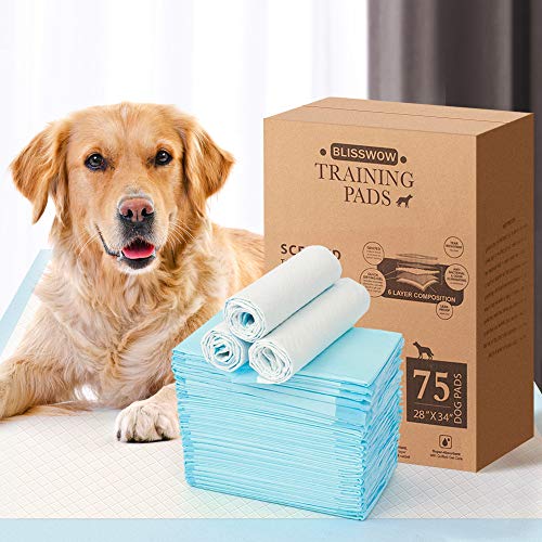 Blisswow Heavy Duty Regular Pet Dog and Puppy Training Pads - Pack of 80, 24 x 23 Inches