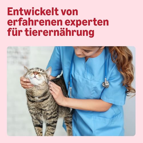 by-Amazon-Katzenleckerlis-mit-Lachs-70-g - Sparfuchs24.io - Preisvergleich & Top Angebote Online