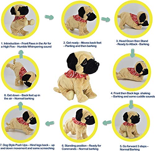 WEofferwhatYOUwant Carlino Pug Daddy | Cagnolino