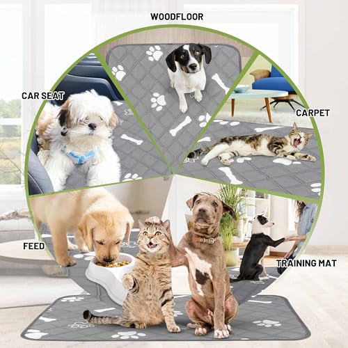 Image of PatiencET Washable Pee Pads for Dogs, 36'' x 41 inch Reusable Puppy Pads with Super Absorbent, 2 Pack Large Potty Buddy with Waterproof Bottom for Pet Training, Housebreaking and Incontinence