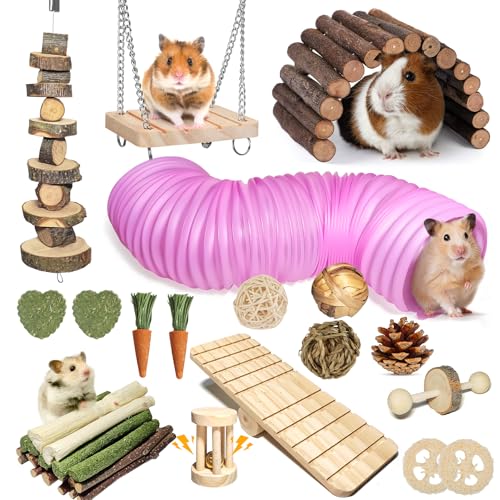 Kagoty 40 PCS Hamster Toys Set