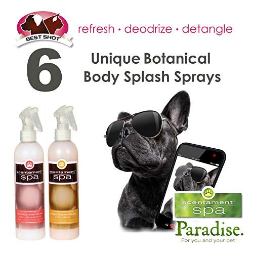 best dog deodorizing spray