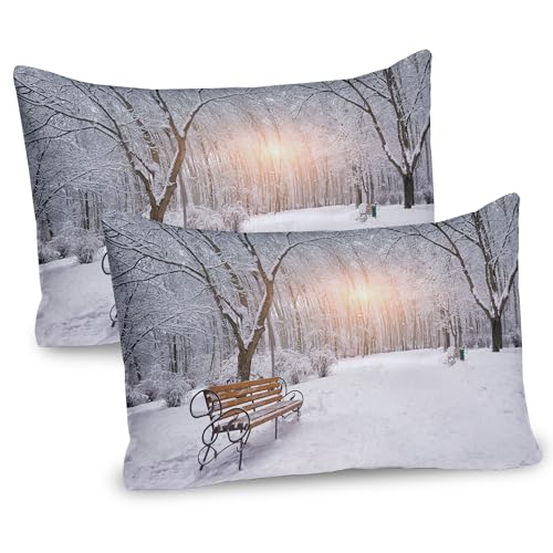 Ambesonne Winter Pillow Sham Set of 2, Snowy Leafless Trees and Benches in The City Park Sunset Woodland Outdoors, Quality Microfiber Bedding Item for All Seasons, 30
