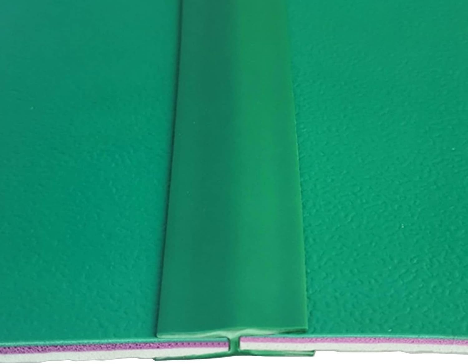 Bande de transition en PVC durable pour moquette au carrelage – Bande de bord facile à installer pour une transition sans problème (vert, longueur 2 m)