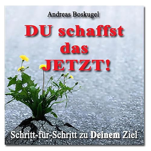 Page de couverture de Du schaffst das JETZT!