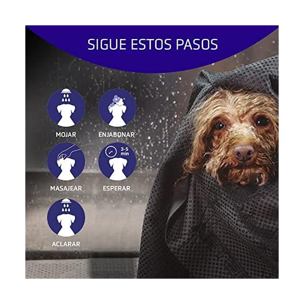 Artero Shampoo für Hunde und Katzen, 250 ml und 5 l, 5 l – Bild 3