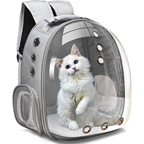 Best Space Bag For Cat
