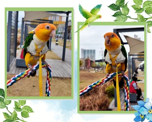 Image of DS. DISTINCTIVE STYLE Bird Rope Perches Set of 2 Pieces (33 in+16 in), Colorful Cotton Rope for Birds, Bungee Style Perch Ideal for Parrots, Cockatiels, Lovebirds, and Budgies
