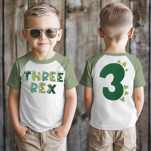 Dinosaur Birthday Shirt Toddler Boys T-Rex 2nd 3rd 4th Birthday T-Shirts Outfit Funny Dino Party Tee Tops3