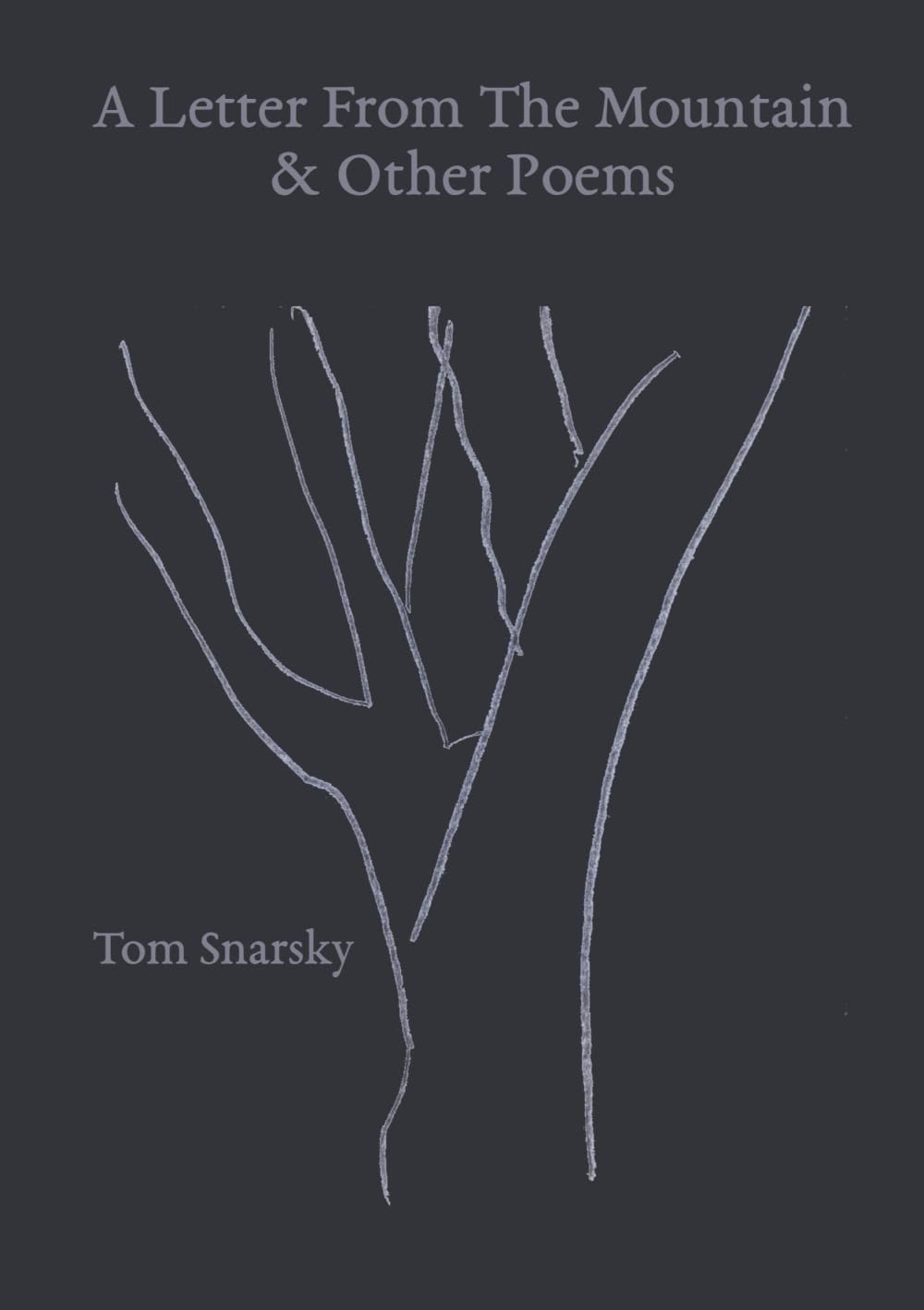 A Letter From The Mountain & Other Poems