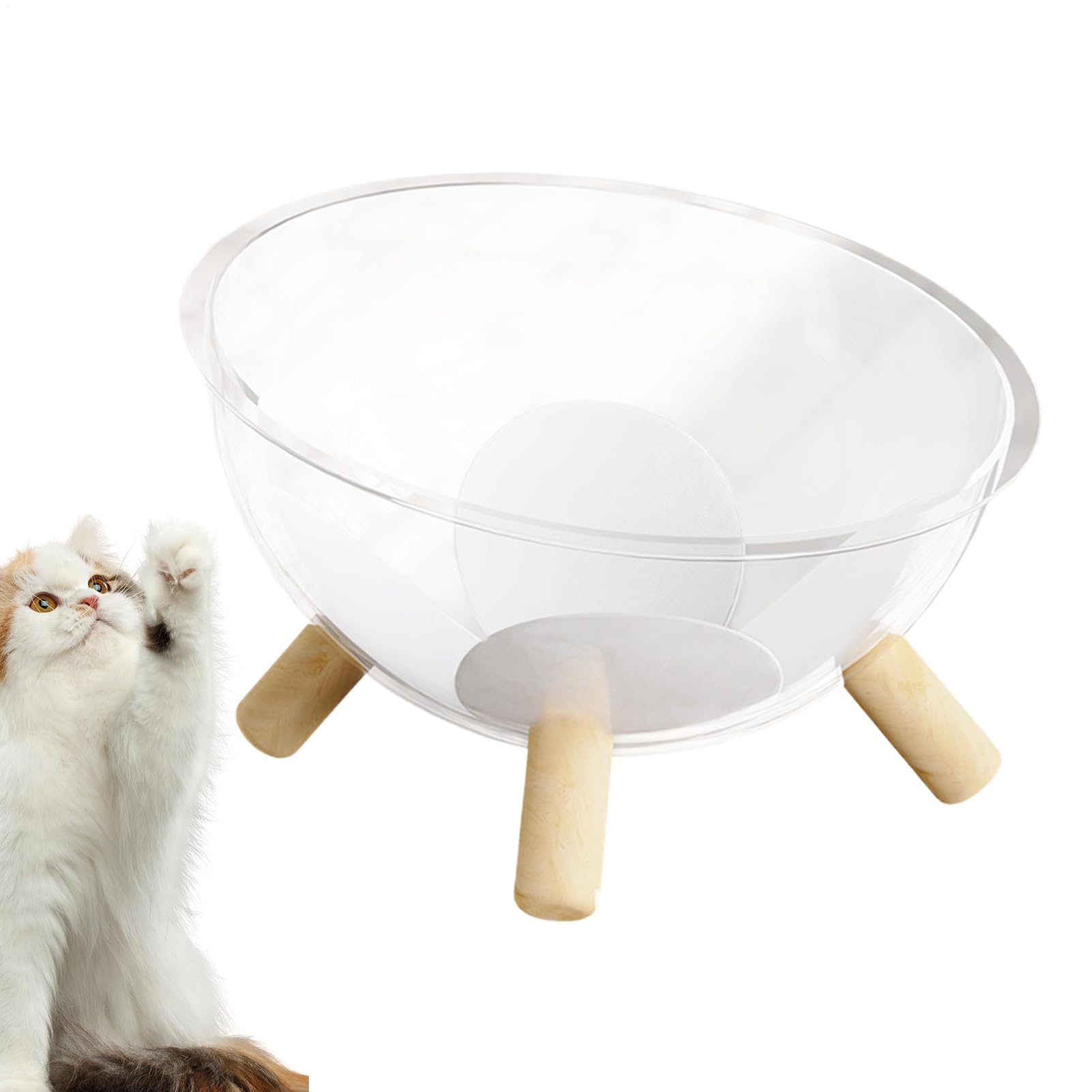 Korb für Katzen, Schlafnest für Kätzchen mit Basis aus Holz – Kuppel, transparent, Zubehör für Kleintiere, Raum, Aktivität, Erholung, Entspannungsspiel