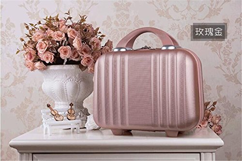 Bilateral Stripe Typ ABS Polychrome Mini Travel Luggage for Princess Girls Or Women Lady (Rose Gold)