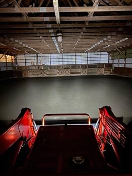 レイ　0301 Amazon.com: 2 Super LED light bulbs L2501H L3200 L3301 L3800