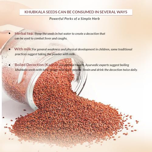 Image of DR ARYA Khubkala Seeds 100gm Khoobkala laal Sisymbrium Irio Hedge Mustard Seeds खुबकला लाल Cleaned & Sun-Dried Whole Seeds for Traditional Uses & Home Remedies