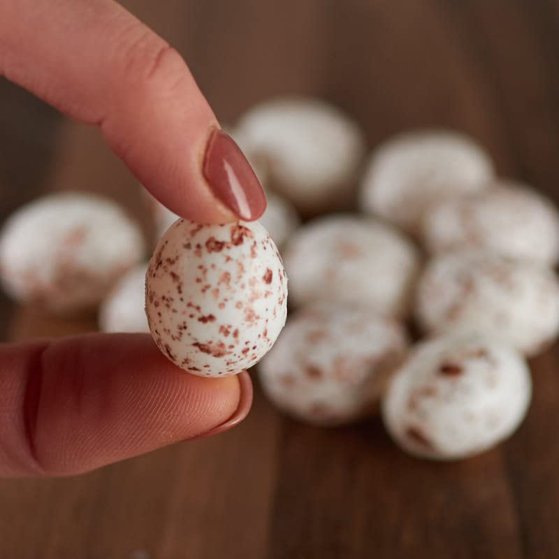 Factory Direct Craft Package of Natural Colored Tiny Plastic Bird Eggs with a Realistic Appearance- 36 Eggs