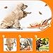 Bemonew Tangerine Interactive Dog Toy Squeaky Plush Hide and Seek Pet Toy with Crinkle Paper