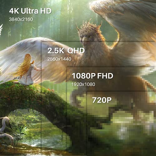 Professional Drawing Tablet with Screen 2K