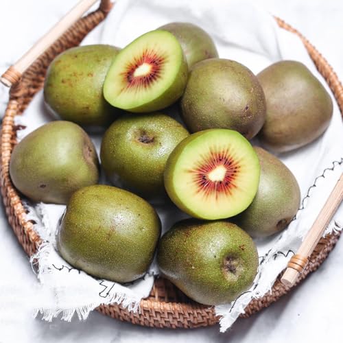 semi di bacche di kiwi - colonnare del giardino rialzata da balcone 200pcs