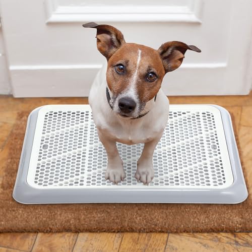 Image of Mifoci 2 Pcs Dog Potty Tray Mesh Puppy Training Pad Holder Floor Protection Portable Pee Pad Pet Toilet Training Tray Litter Box Corner for Medium and Large Dogs (19.7 x 14.2 Inch,Gray)