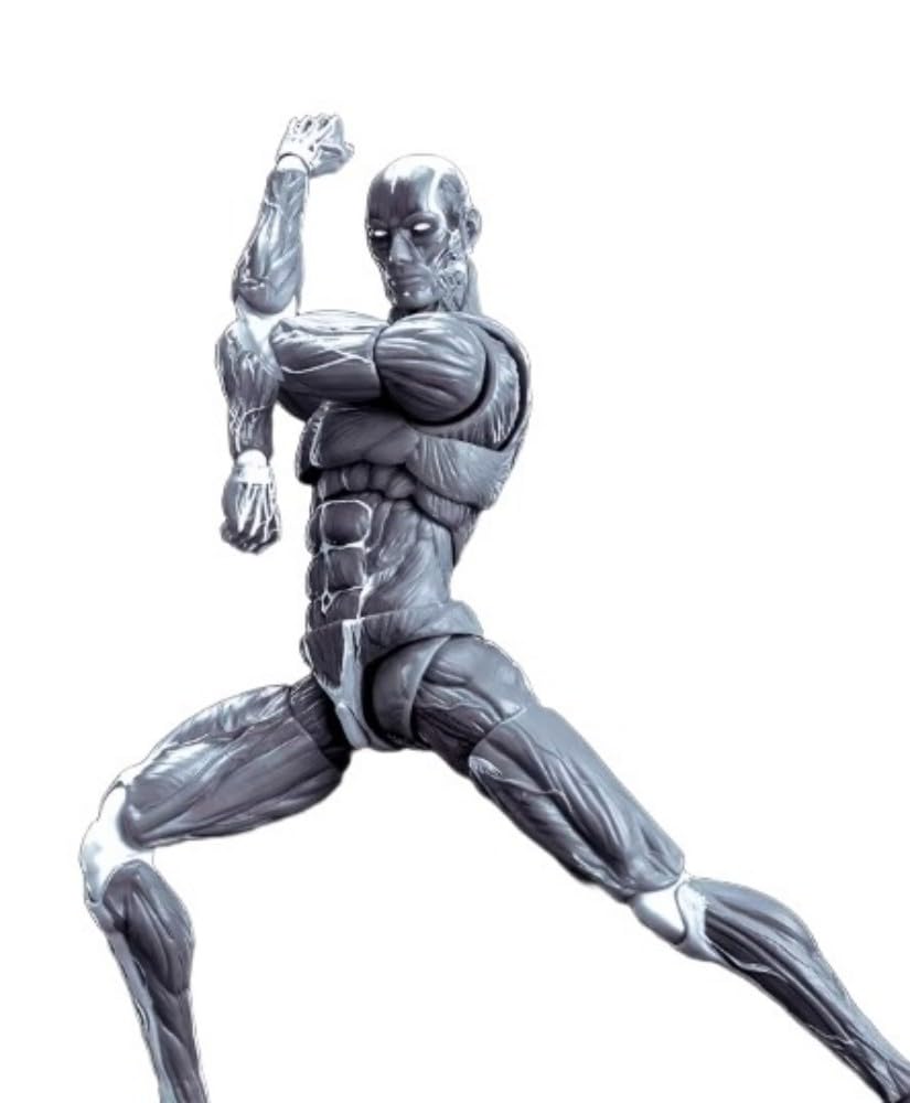 Amazon.co.jp: [AC] 玩朝KEEPGOING 1/12 超可動 男性 筋肉素体