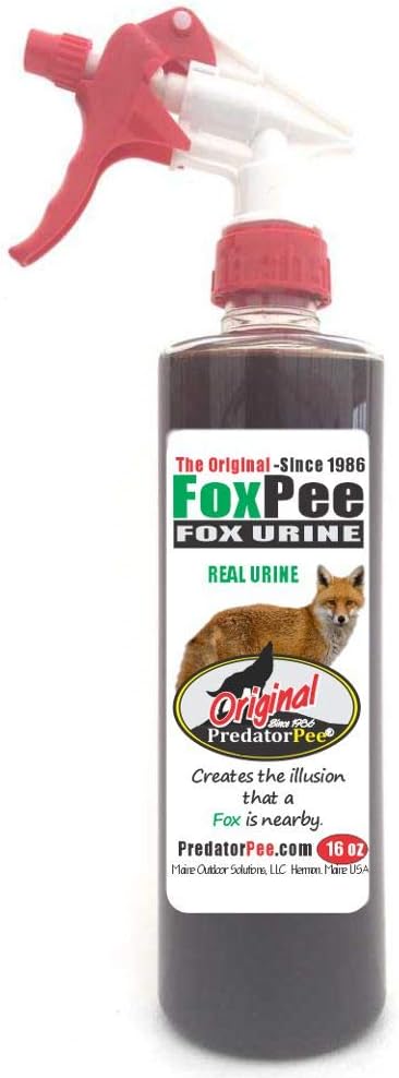 Amazon.com : PredatorPee 100% Fox Urine - Territorial Marking Scent - Creates Illusion That Fox ...