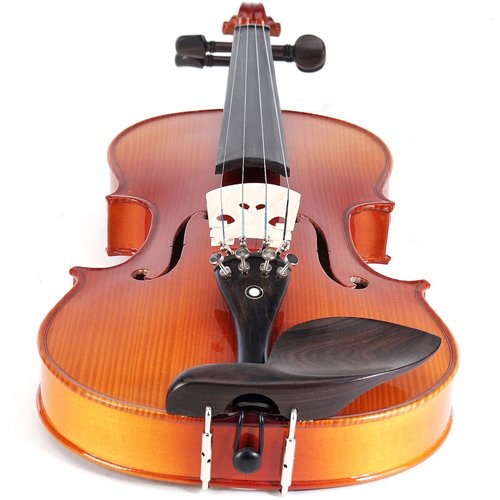 Cecilio 4/4 Full-Size Left-Handed Violin, Solid Spruce Top & Maple Body Professional Fiddle Set Includes Hard Case, 2 Bows, Rosin, Bridges & Extra Strings