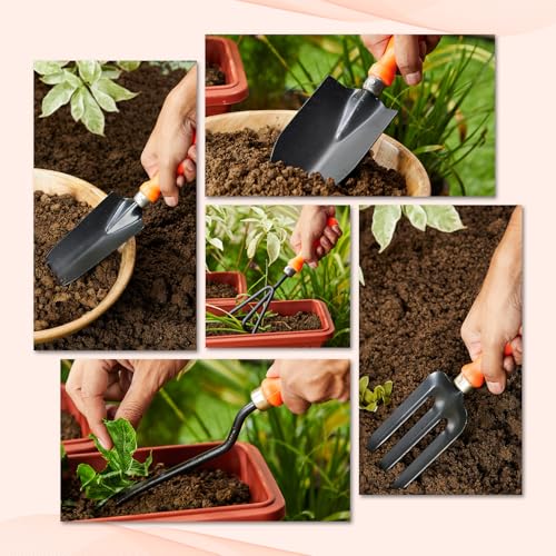 Image of Amazon Brand - Solimo 5-Piece Gardening Tool Kit | Hand Cultivator, Hand Fork, Large & Small Trowels, Weeder | Gardening Tools Set for Home Gardens | Great for Gifting