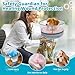 Didopet Inflatable Dog Cone with Transparent Shield, Protective Dog Donut Collar After Surgery to Stop Licking, Soft Donut Cone for Medium Plus Pets, Adjustable Recovery Collar with Buckle Visibility
