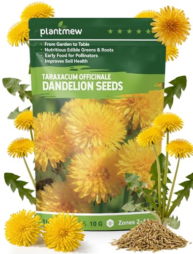 Dandelion Seeds for Planting - 4 000+ Heirloom Dandelion Herb Seeds (Taraxacum officinale) Edible Leaves Flowers Roots Medicinal Garden Pollinator-Friendly