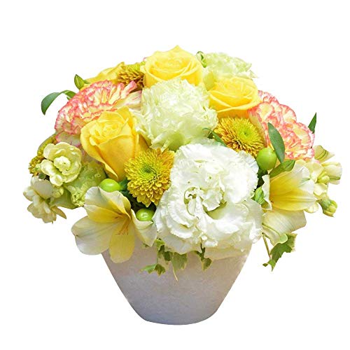  J[IׂX܂AWg t[Mtg  ̓ Mtg 蕨 v[g (IWECG[n)